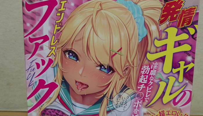 発情ギャルのエンドレスファックのパッケージ前面上画像