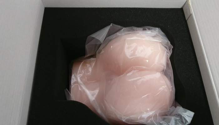 発情ギャルのエンドレスファックの本体画像