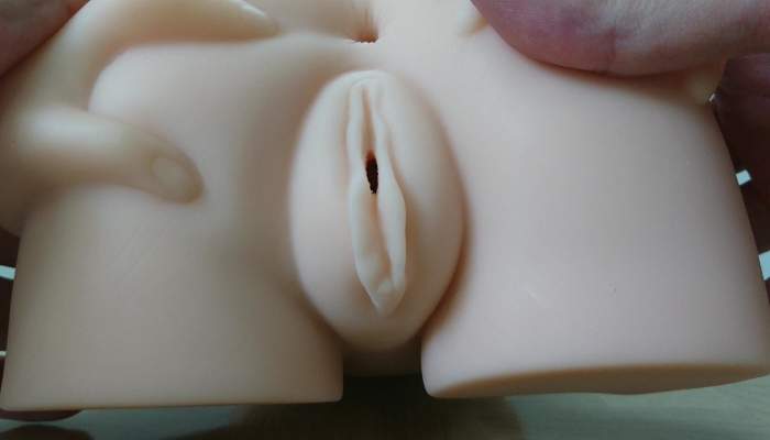淫惑アデーニョの膣口画像