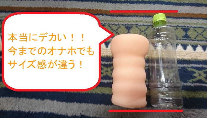 フェラチオ上手な真夏のお姉さんの本体比較画像