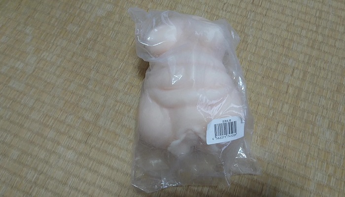 淫熟礼賛の本体画像