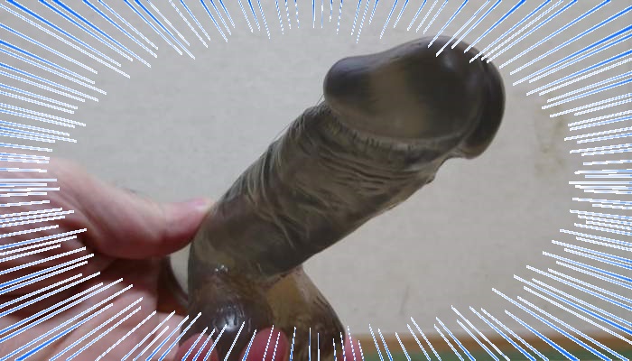 壁尻2 リアルミミズ千匹の擬似ペニス画像