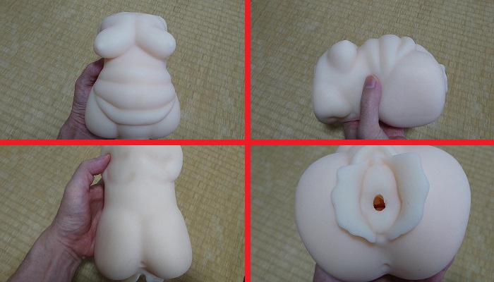 淫熟礼賛の本体フォルム2画像