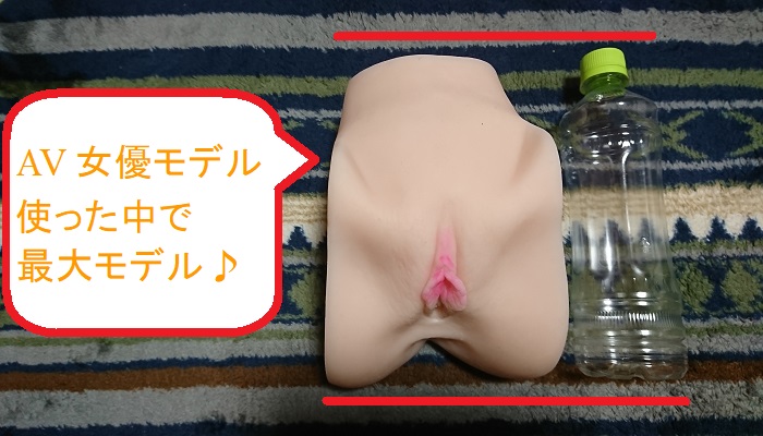 三島奈津子のエロ股 生ま○この本体比較画像