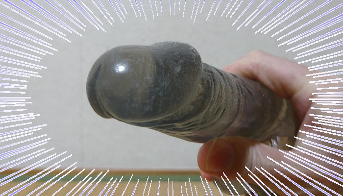 疑似ペニス画像