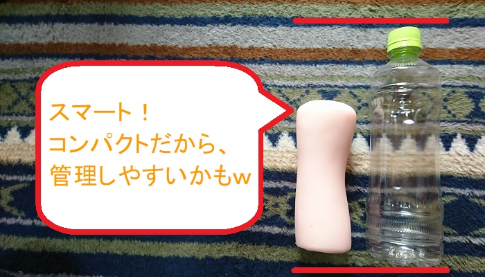 イイオンナ ヤリ放題。 葉月レイラの本体比較画像