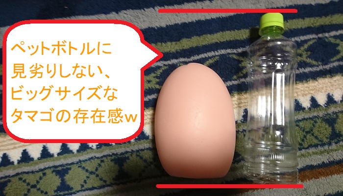 KITSU-MAN POCHA MAXの本体比較画像