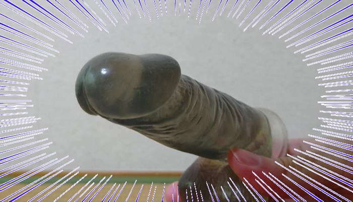 擬似ペニス画像