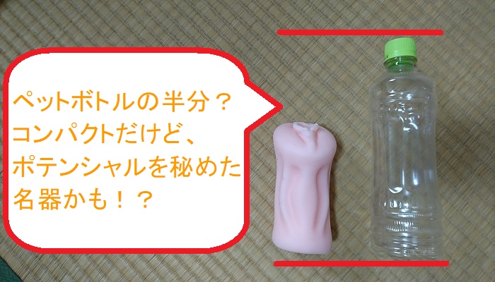 あそこ再現しちゃいました。 蒸れた熟女編の本体比較画像