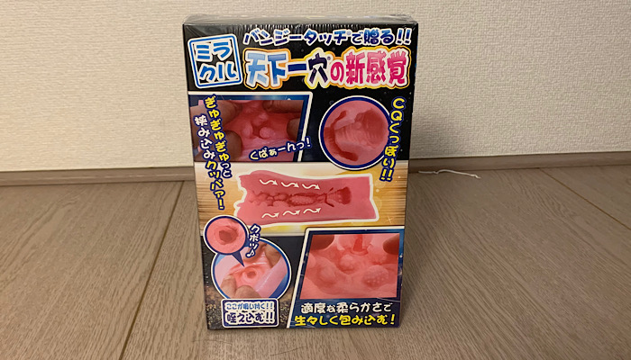 「天下一穴 バンジータッチの巻」内部構造の画像