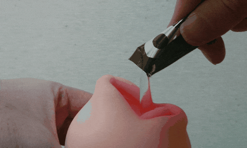 ギャルざんまい 濃厚包みベロのローション注入アニメーション画像