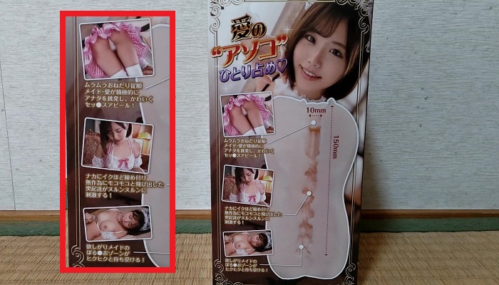 FALENO STAR HOLE 本郷愛の構造1画像