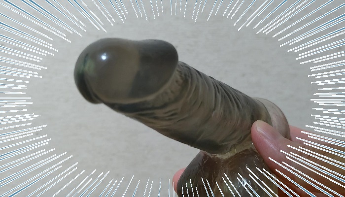 疑似ペニス画像