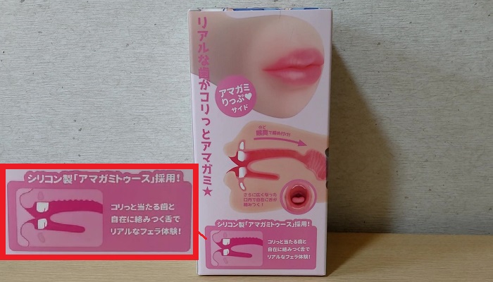 NUPU2の構造1画像